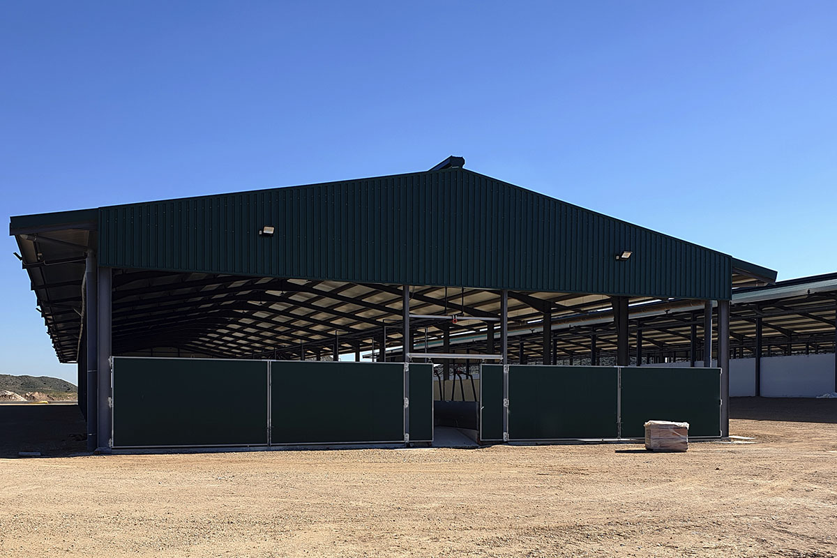 LOS CHENGOS - 5 NAVES